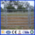 Venda quente Galvanized Pipe Horse Fence Panels